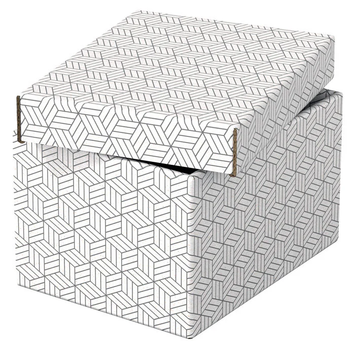 PACK 3U CAJA CARTON DECORATIVA BLANCO 255X200X150MM | LEITZ | 1 UNIDAD | 4049793072258