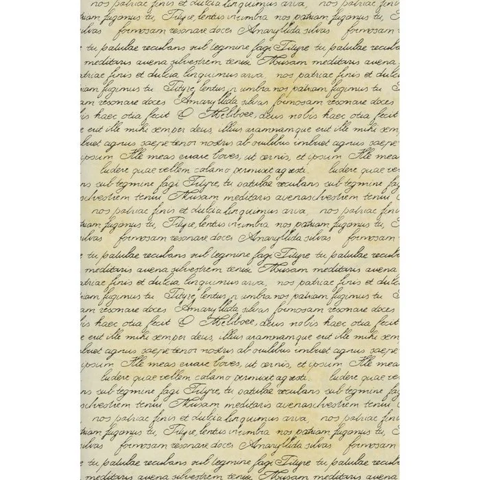 PAPEL REGALO BOBINA 62CMS TEXTO LATIN | SADOCH | 1 UNIDAD | 8006715235999