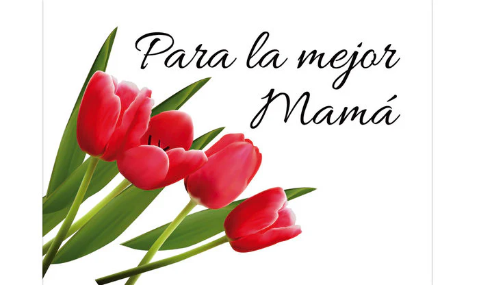 TARJETA MINI TULIPANES PARA LA MEJOR MAMA | ARGUVAL, S,L, | ENVASE 25 UDS. UNIDAD | 8421363422254