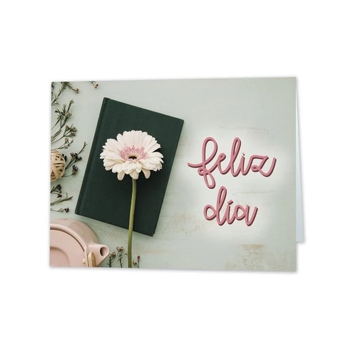 EXPOSITOR 25 TARJETAS MINI CARD GERBERA FELIZ DIA 66X90MM | ARGUVAL, S,L, | ENVASE 25 UDS. UNIDAD | 8421363472990